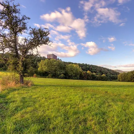 Апартаменты Loewenzahn - A808 By Interhome *